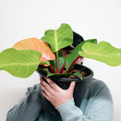 Midsection of person holding leaves against white background