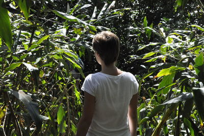 Rear view of a man walking on tree