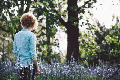 Woman standing amidst purple flowering plants at forest