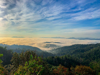 Scenic view of landscape against sky