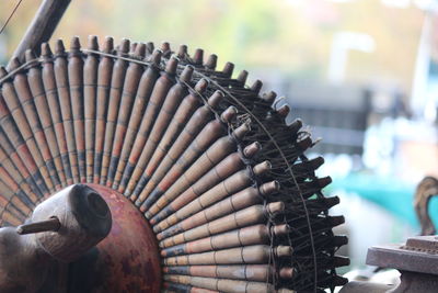 Close-up of a bird