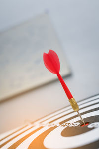 Close-up of red dart on board