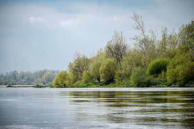 Scenic view of lake in forest against sky