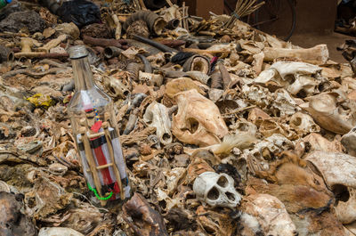 Close-up of dead animals and animal parts at traditional voodoo fetish market in benin, africa