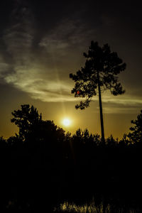 Silhouette trees on field against sky at sunset