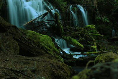 Close-up of waterfall in forest