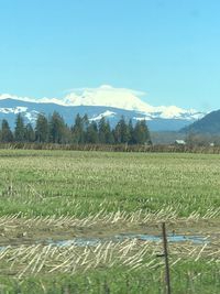 Scenic view of field against sky