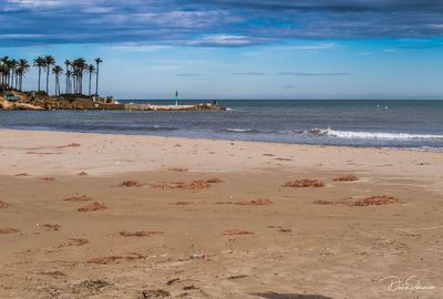 Scenic view of beach against sky