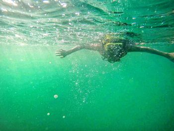 Jellyfish swimming in sea