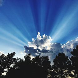 Low angle view of silhouette trees against blue sky