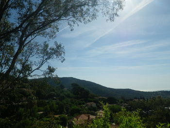 Scenic view of forest and mountains against sky