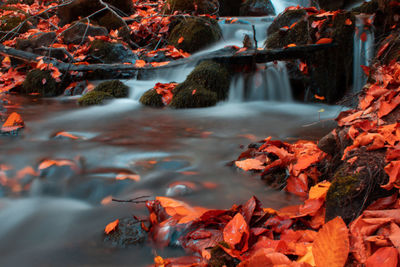 Stream flowing through rocks during autumn