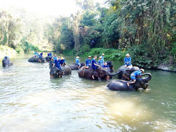 People enjoying in river