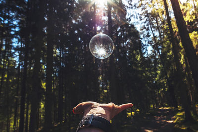Cropped hand catching crystal ball against trees