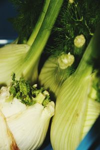 Close-up of fresh vegetables