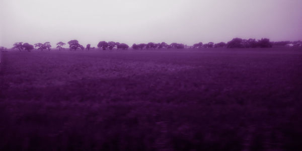 Scenic view of field against sky during foggy weather