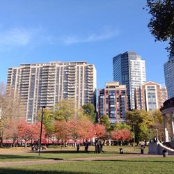 Trees in city against clear sky