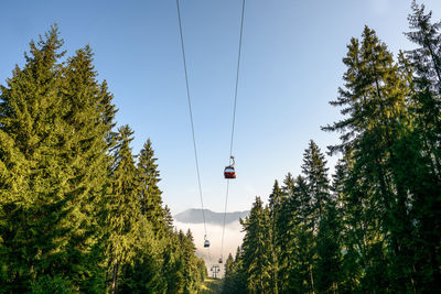 Low angle view of overhead cable car amidst trees against sky