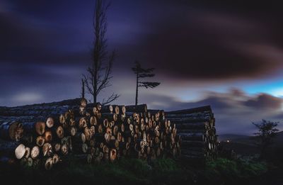 Stack of logs against sky