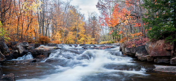 Stream flowing through rocks in forest during autumn