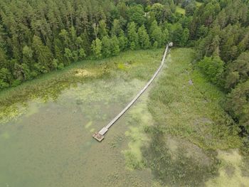 High angle view of road amidst trees in forest