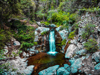 Waterfall in forest