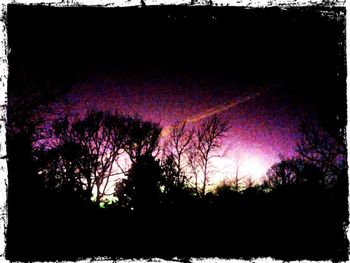 Illuminated trees against sky at night