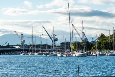 Sailboats moored at harbor against sky