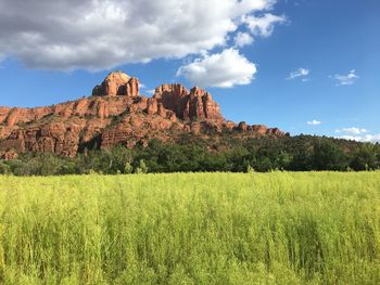 Scenic view of landscape against sky