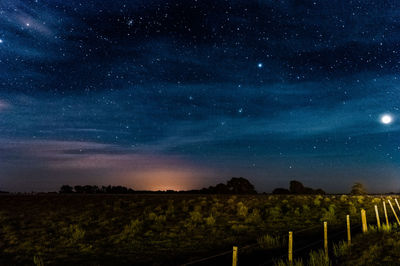 Scenic view of field against sky at night