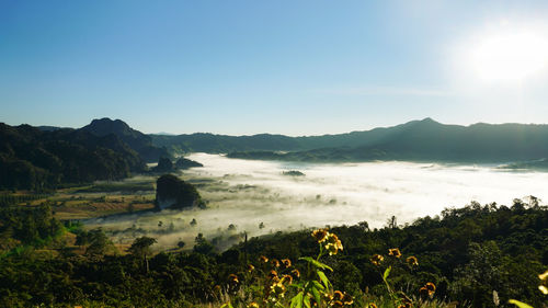 Scenic view of sea against clear sky