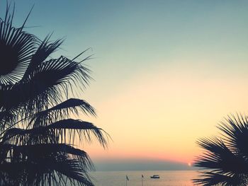 Silhouette palm trees by sea against sky at sunset