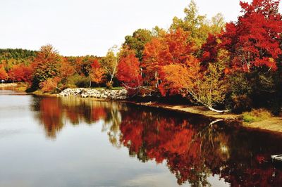 Scenic view of lake by trees during autumn