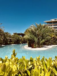 Scenic view of swimming pool against clear blue sky