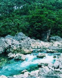 Stream flowing through rocks
