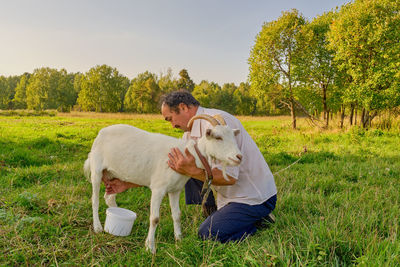 Rural scene. a senior asian man milks a white goat on a meadow in a siberian village, russia