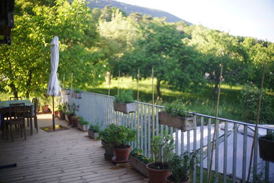 Potted plants on balcony against building