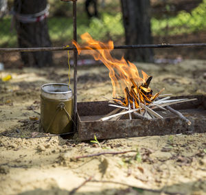 Close-up of bonfire on wood