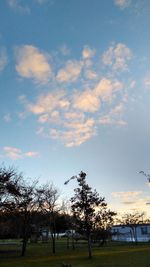 Silhouette trees against sky during sunset