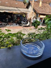 Potted plants on table by building