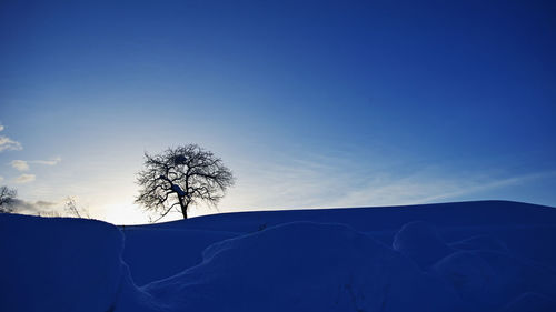 Silhouette trees on field against clear blue sky