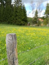 Close-up of wooden post on field