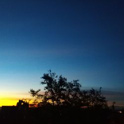 Low angle view of silhouette trees against clear sky