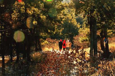 Rear view of people walking in forest