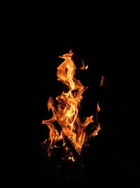 Close-up of fire in the dark