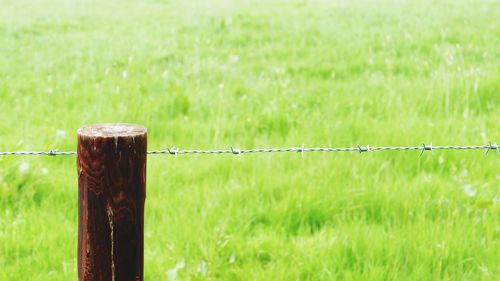 Close-up of fence against grassland