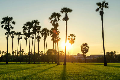 Scenic view of field against sky during sunset