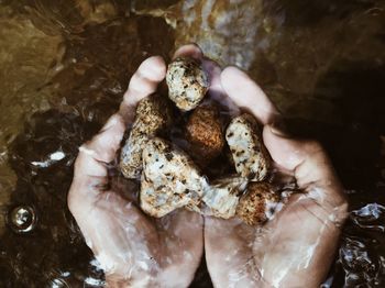 Close-up of hand feeding in water