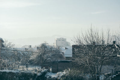 Bare trees in city against sky