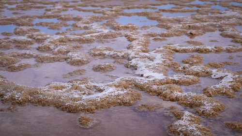 High angle view of wet sand on beach